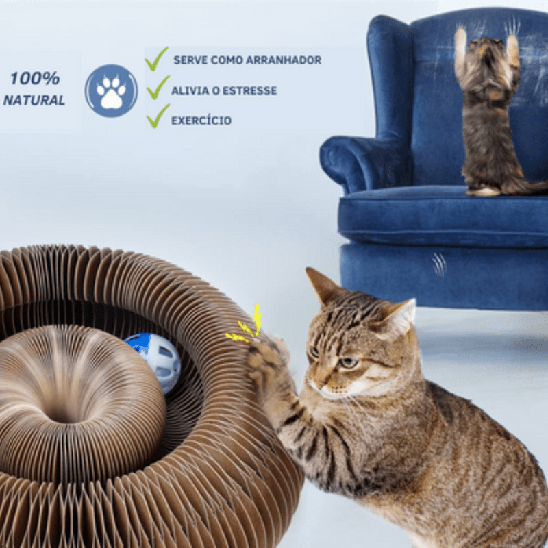 Brinquedo Interativo Para Gatos I Cat Joy + 1 Bola de Brinde - Barato e Rápido
