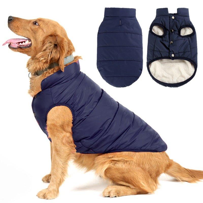 Colete Pet Steve™ | Roupa Para Cachorro - Barato e Rápido